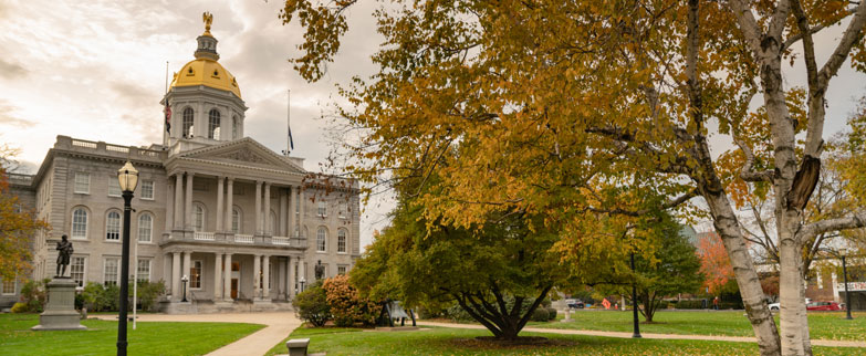 Why New Hampshire?